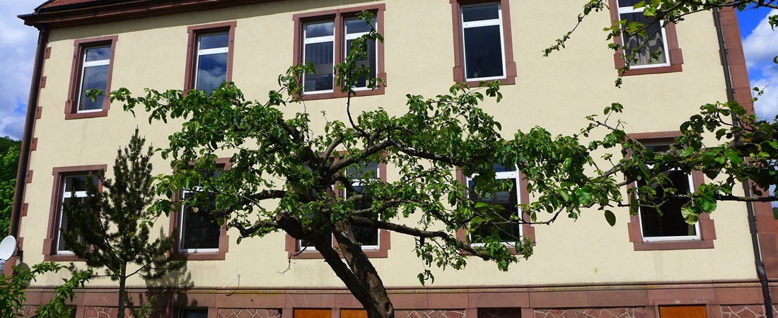 Schulhaus Musizierkreis Kreuzwertheim